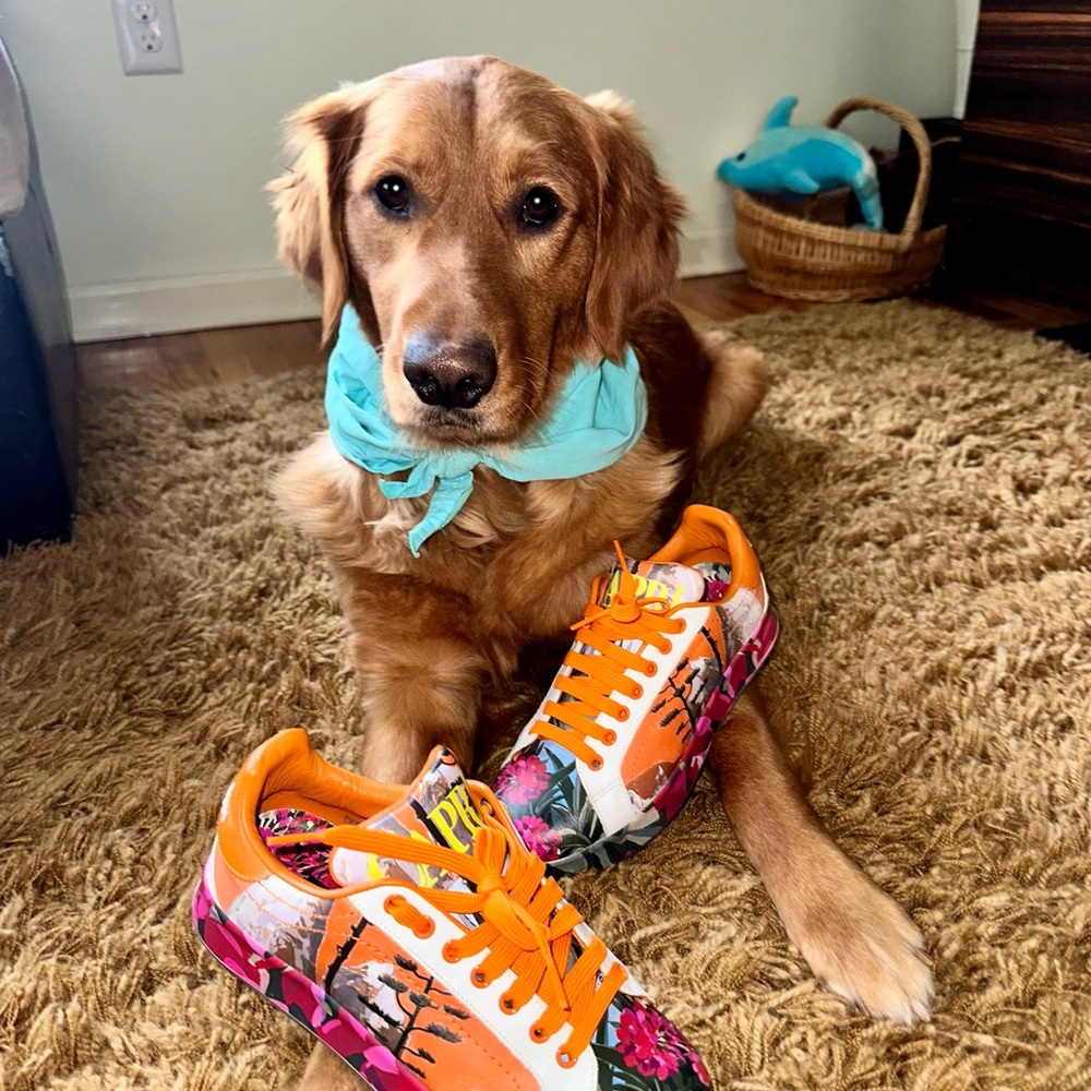 Used once. Supper cool and comfortable Dolce and Gabbana Italian sneakers.